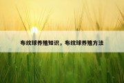 布纹球养殖知识，布纹球养殖方法