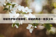 球蟒养护知识有哪些，球蟒的寿命一般多少年