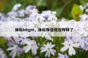 体坛bbgm，体坛叛徒现在咋样了