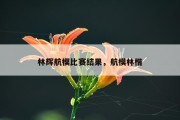林辉航模比赛结果，航模林楷