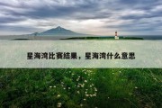 星海湾比赛结果，星海湾什么意思