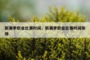 新赛季职业比赛时间，新赛季职业比赛时间安排