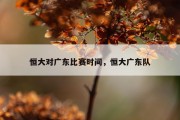 恒大对广东比赛时间，恒大广东队