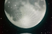2002年1月19日生辰八字算命，2002年1月19日出生的命运