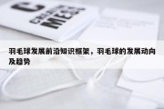 羽毛球发展前沿知识框架，羽毛球的发展动向及趋势
