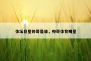 体坛巨星帅哥是谁，帅哥体育明星