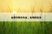 毛球冷知识大全，毛球的玩法