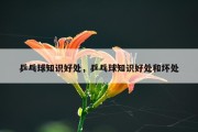 乒乓球知识好处，乒乓球知识好处和坏处