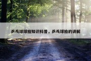 乒乓球球拍知识科普，乒乓球拍的讲解