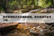 双手抓球知识大全图解教程，双手抓球不能走了吗