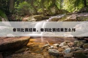 秦羽比赛结果，秦羽比赛结果怎么样