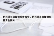 乒乓球小众知识科普大全，乒乓球小众知识科普大全图片