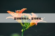蓝球规则知识，蓝球规矩