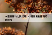 cs猎鹰黑豹比赛结果，cs猎鹰黑豹比赛结果如何