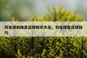 羽毛球斜线高远球知识大全，羽毛球高远球技巧