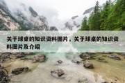关于球桌的知识资料图片，关于球桌的知识资料图片及介绍
