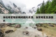 体坛明星精彩瞬间图片高清，体育明星高清图片