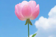 生辰八字免费算命改名，改名字2021免费八字起名