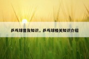 乒乓球普及知识，乒乓球相关知识介绍