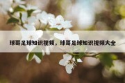 球哥足球知识视频，球哥足球知识视频大全