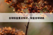 合球投篮重点知识，投篮合球训练