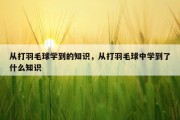 从打羽毛球学到的知识，从打羽毛球中学到了什么知识
