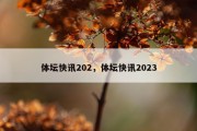 体坛快讯202，体坛快讯2023