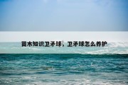 苗木知识卫矛球，卫矛球怎么养护