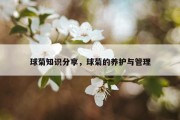 球菊知识分享，球菊的养护与管理