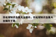 羽毛球知识合集大全图片，羽毛球知识合集大全图片下载