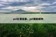pel比赛结果，pel赛制规则