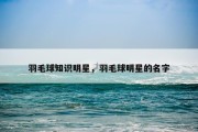 羽毛球知识明星，羽毛球明星的名字