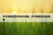 乒乓球胶皮型号知识讲解，乒乓球胶皮性能参数