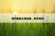 黑豹翻盘比赛结果，黑豹现场