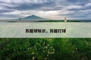 苏醒球知识，苏醒打球