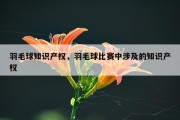 羽毛球知识产权，羽毛球比赛中涉及的知识产权