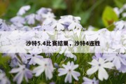 沙特5.4比赛结果，沙特4连胜