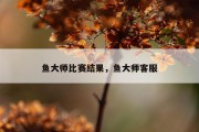 鱼大师比赛结果，鱼大师客服