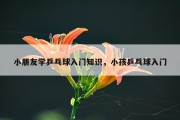 小朋友学乒乓球入门知识，小孩乒乓球入门
