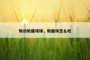 知识奶酪球球，奶酪球怎么吃