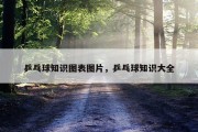 乒乓球知识图表图片，乒乓球知识大全