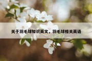 关于羽毛球知识英文，羽毛球相关英语