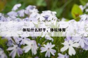 体坛什么好干，体坛体育