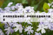 乒乓球外交基本知识，乒乓球外交是哪两个国家