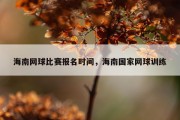 海南网球比赛报名时间，海南国家网球训练
