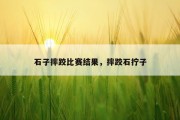 石子摔跤比赛结果，摔跤石拧子
