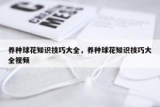 养种球花知识技巧大全，养种球花知识技巧大全视频