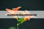 包含我追体坛她追内娱微信的词条