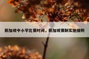 新加坡中小学比赛时间，新加坡赛制实施细则