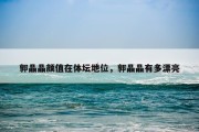 郭晶晶颜值在体坛地位，郭晶晶有多漂亮